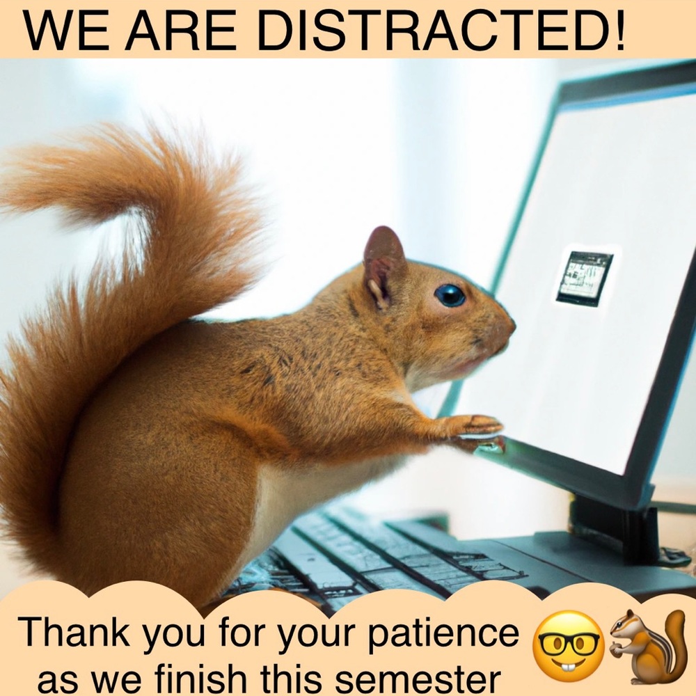 WE ARE DISTRACTED!
